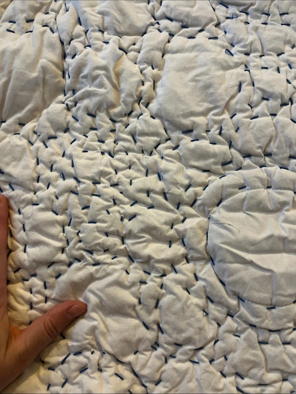 Anthropologie embroidered cotton Euro shams (2)